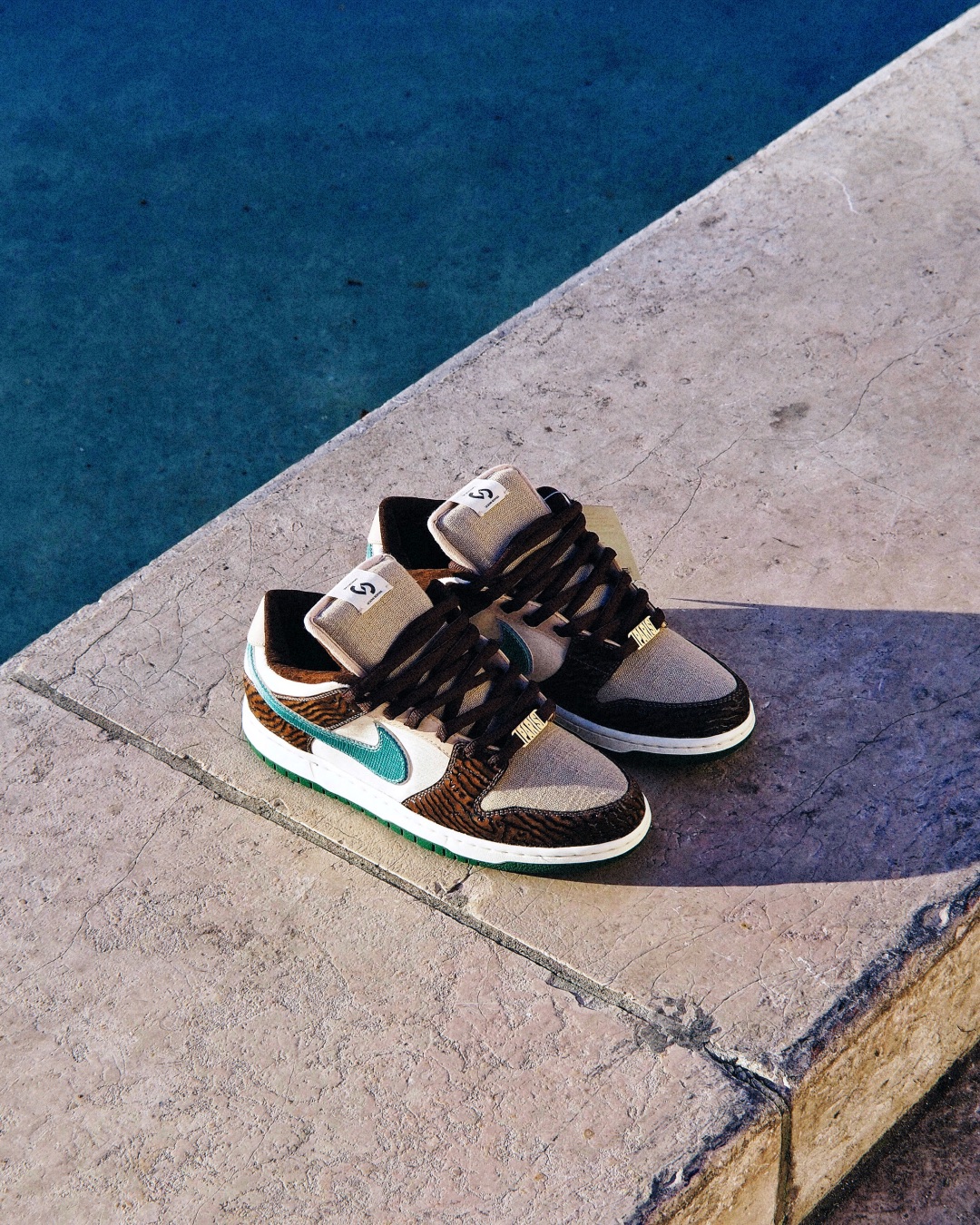 Le Dome SB Bespoke Low detail 3